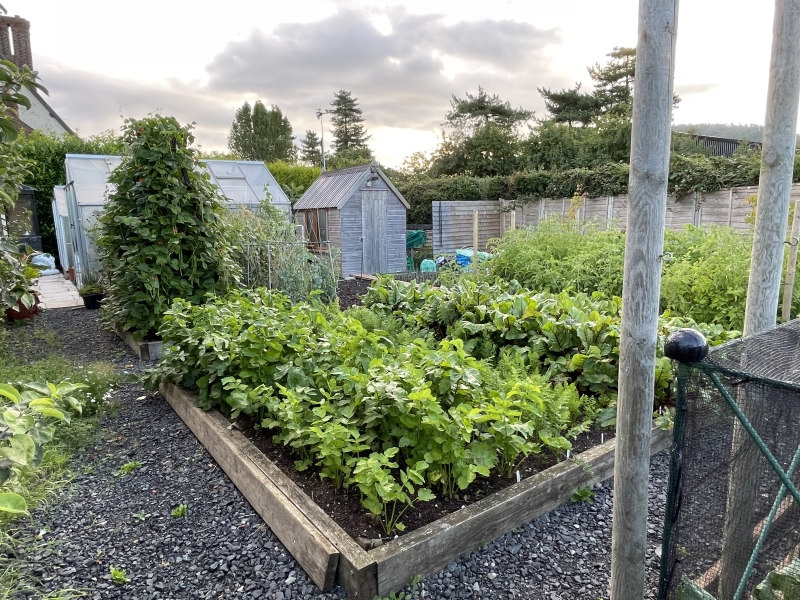 Upper Farm Garden